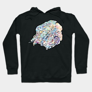 Dragons Hoodie